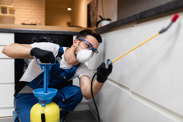 Best Bed Bug Extermination  in Friend, NE