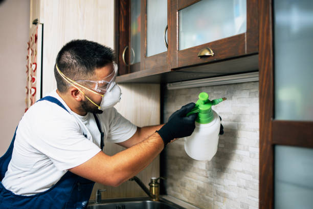 Pest Control Cost in Friend, NE