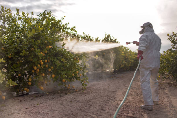 Pest Prevention Services in Friend, NE