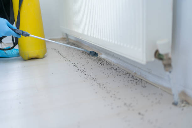 Pest Control for Restaurants in Friend, NE